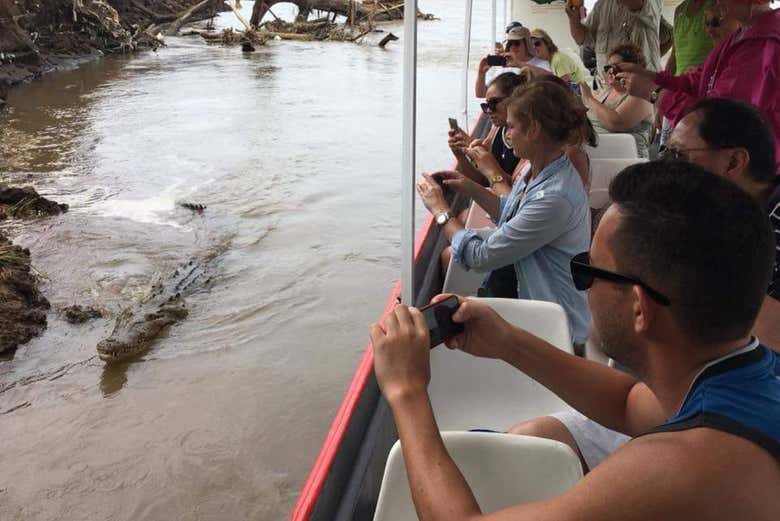 Una foto a un coccodrillo