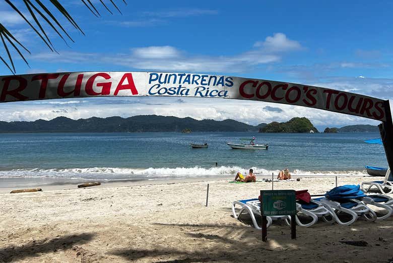 Paya en Isla Tortuga