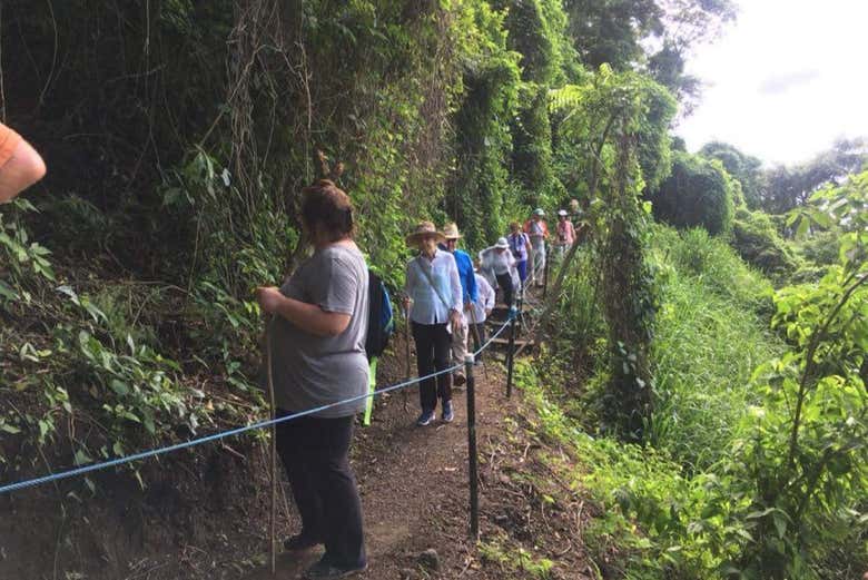 Lungo un sentiero di Villa Lapas