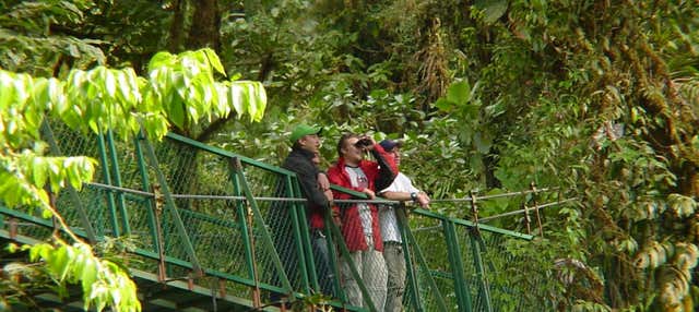 Tour por la Reserva Natural Villa Lapas y el río Tárcoles para cruceros