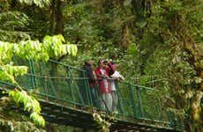 Tour della Riserva Naturale Villa Lapas e del fiume Tárcoles per croceristi