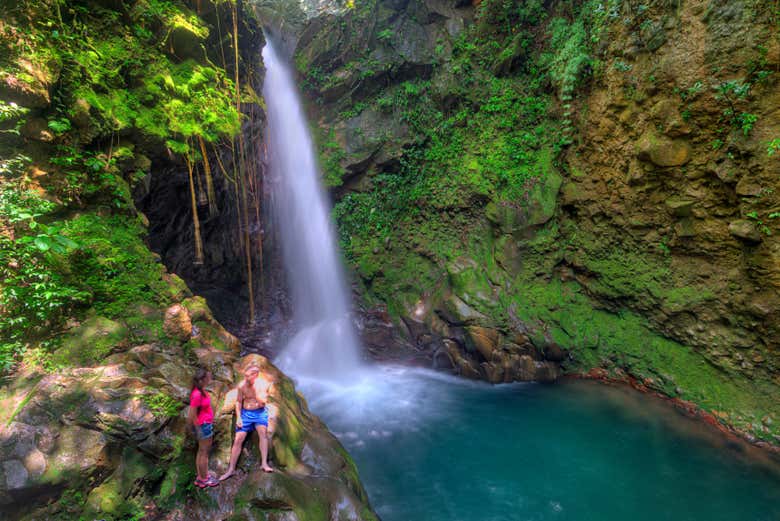 Junto a la cascada Oropéndola