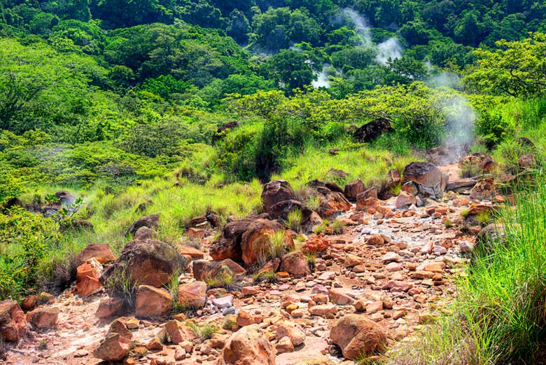 Naturaleza de Las Pailas