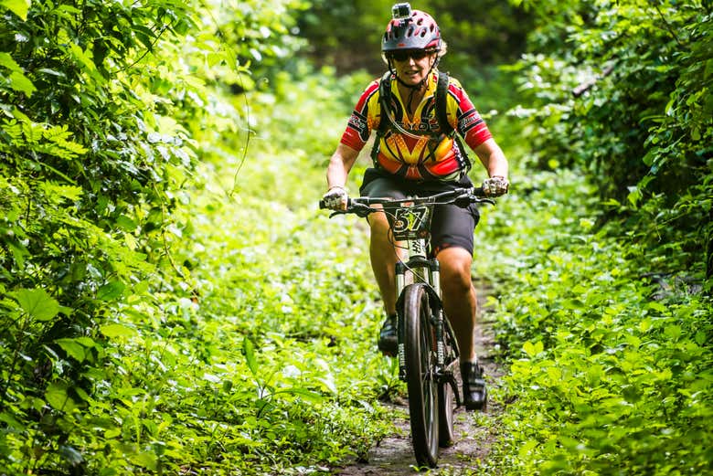 Atravesaremos un frondoso bosque tropical