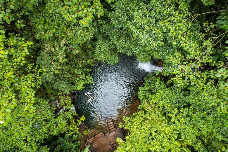 Enjoy the best of the Costa Rican Jungle