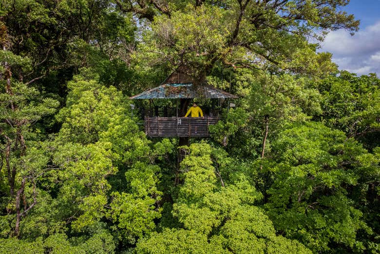 Connect with nature in a whole new way