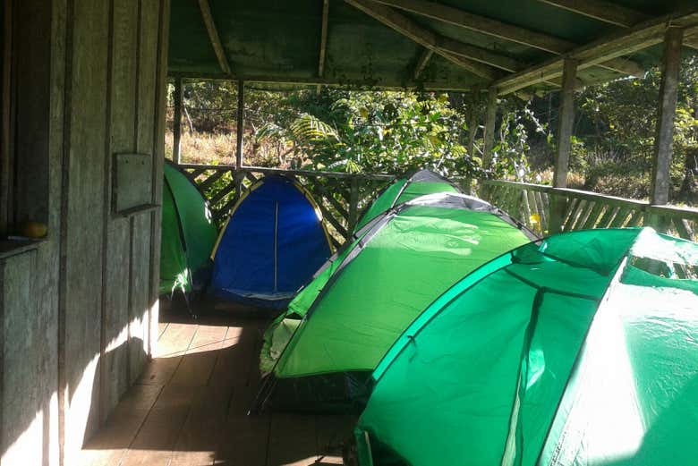 Acampando alrededor de la cabaña