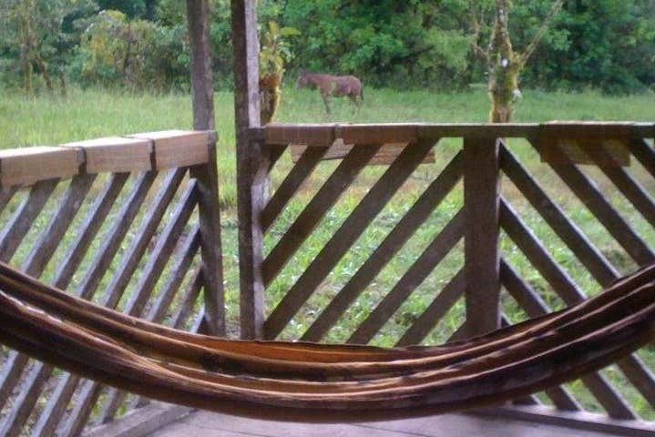 Vistas del campo desde la cabaña