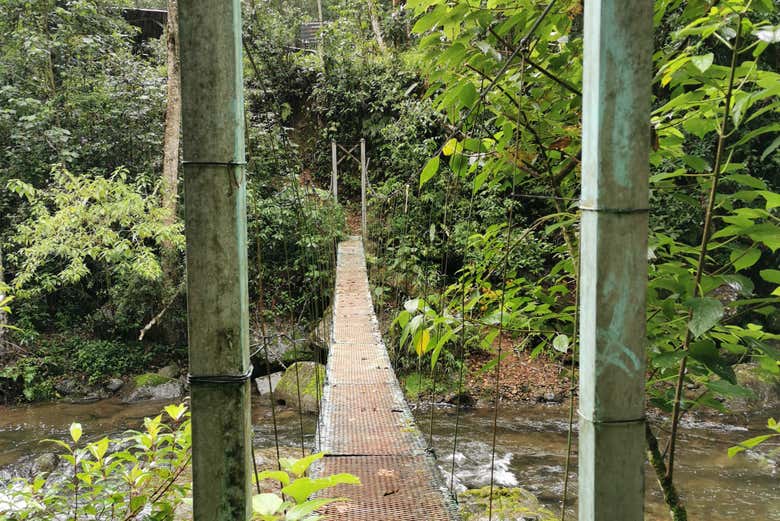 Parque Nacional de los Quetzales