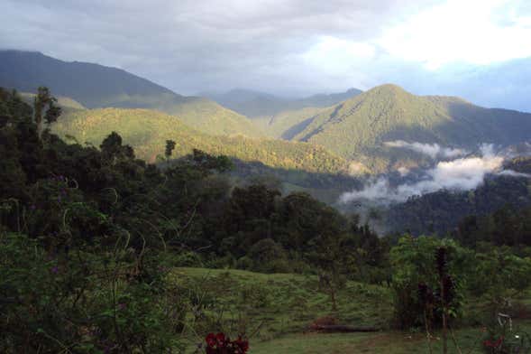 Trekking de 4 días por el Parque Nacional Los Quetzales