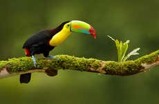 Circuit de 13 jours au Costa Rica