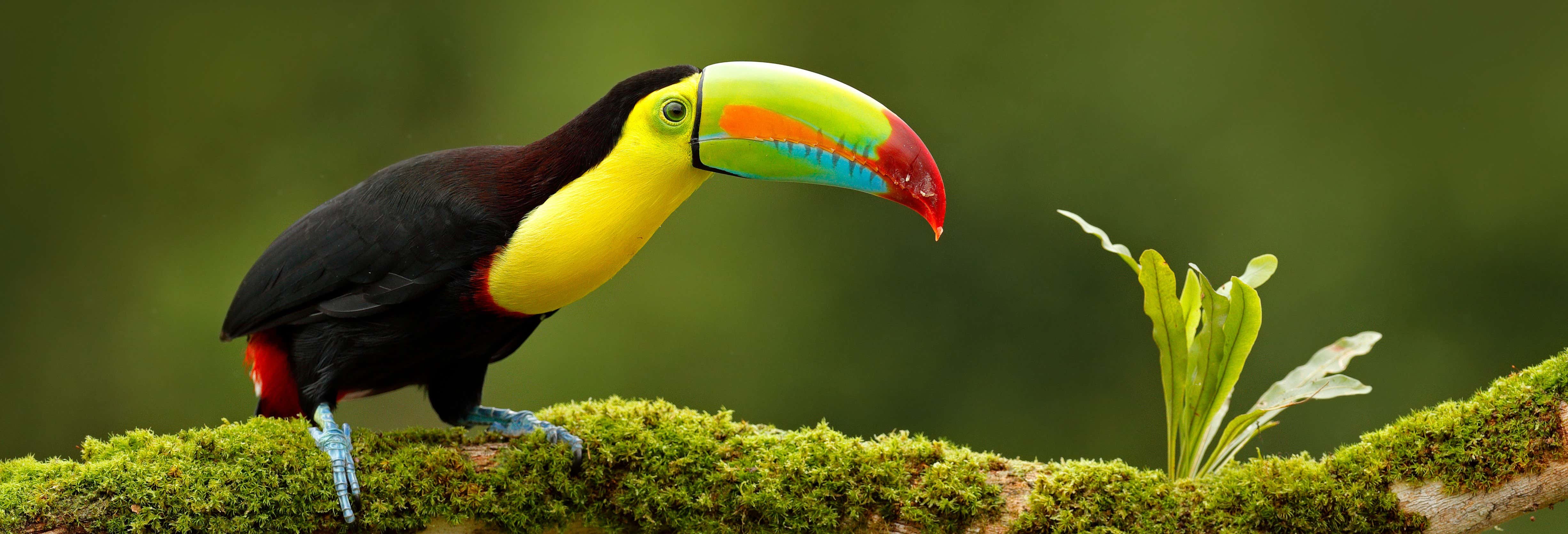 Excursiones de varios días en San José