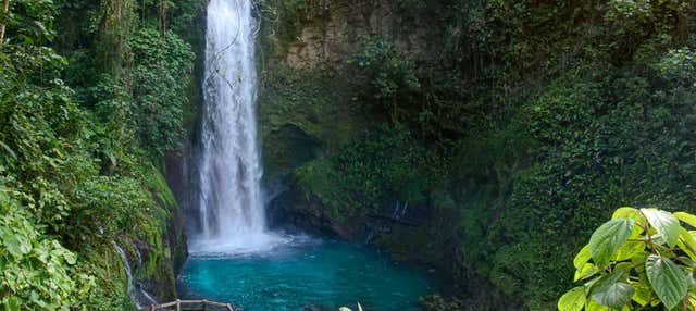 Excursión a los Jardines de la catarata La Paz