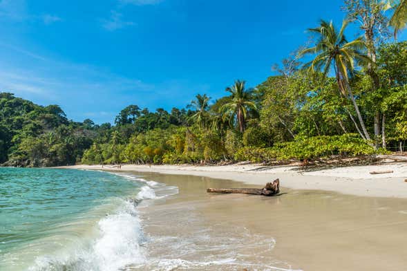 Excursão ao Parque Nacional Manuel Antonio