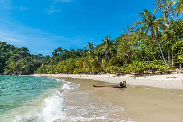 Excursión al Parque Nacional Manuel Antonio