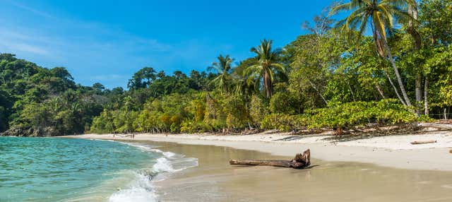 Excursión al Parque Nacional Manuel Antonio