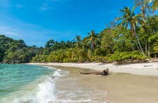 Excursão ao Parque Nacional Manuel Antonio