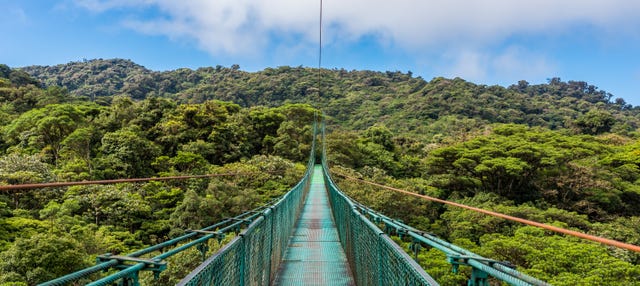 Excursión a los puentes colgantes de Monteverde