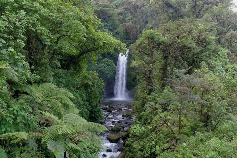 Vistas de la catarata La Paz