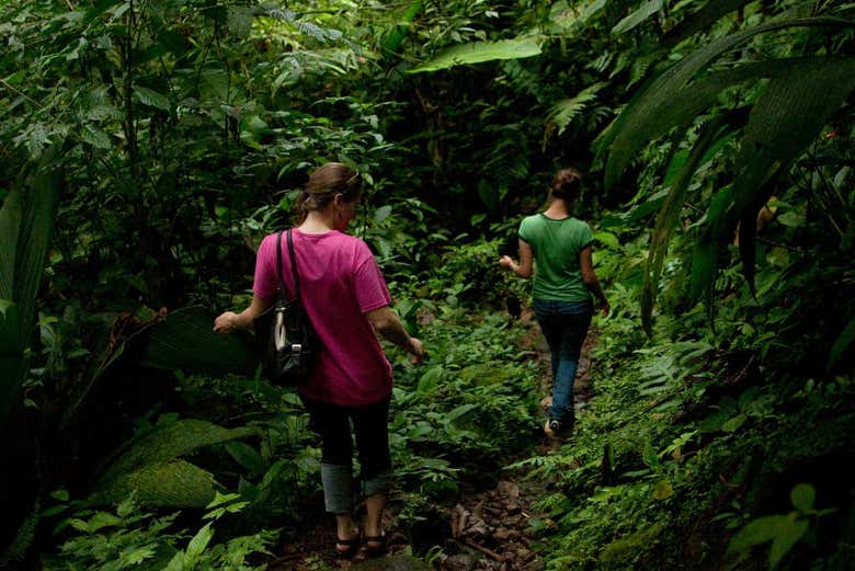 Parque Nacional Braulio Carrillo