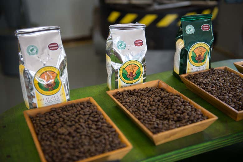 Grãos de café na Hacienda Doka