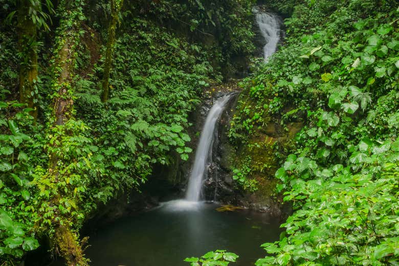 Monteverde