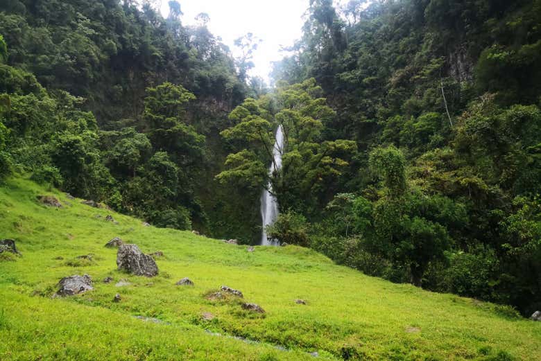 Waterfall in the middle of Turrialba