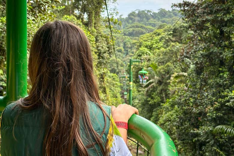 Percorrendo o Rainforest Atlantic de teleférico