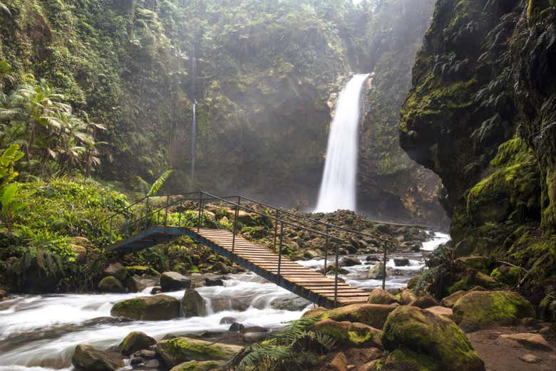 Entorno de la catarata La Paz