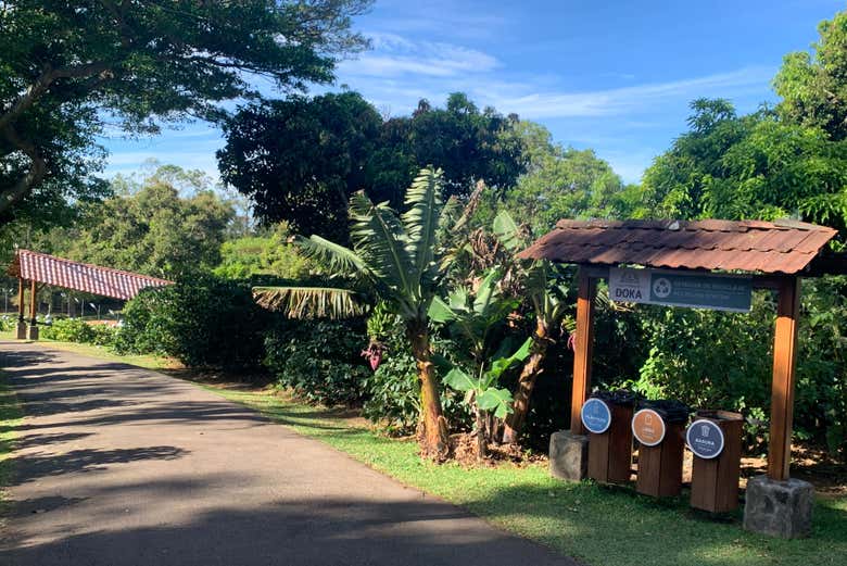 Entrada às plantações de café na Hacienda Doka