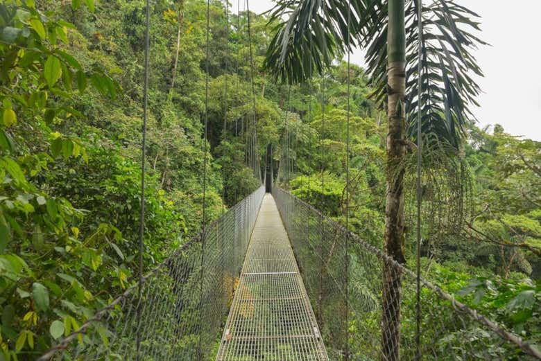 Discovering Monteverde