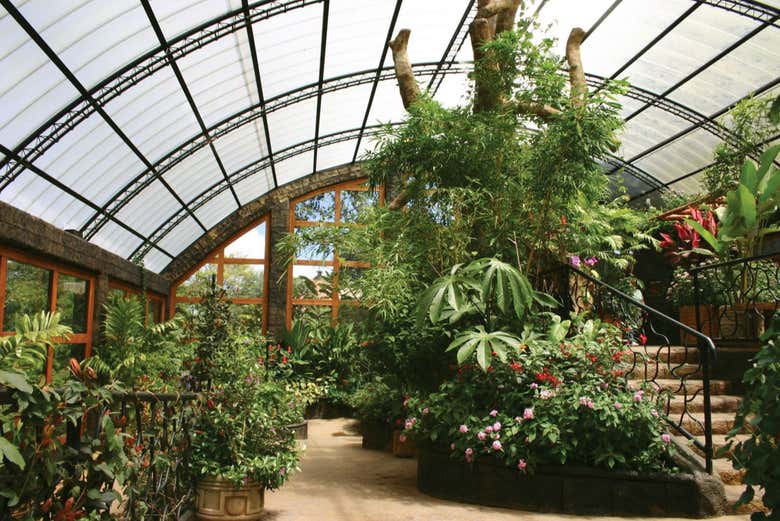 Mariposario de los jardines de la catarata La Paz
