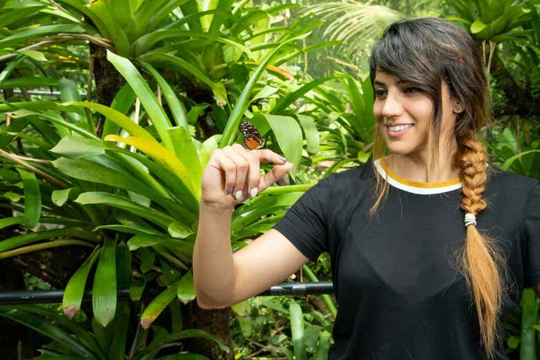 La entrada incluye también el acceso al mariposario