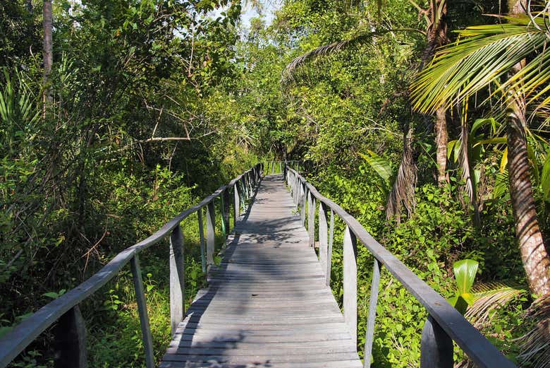 Parque Nacional Cahuita
