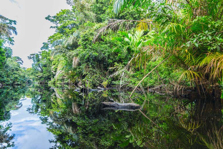 Parque Nacional Tortuguero