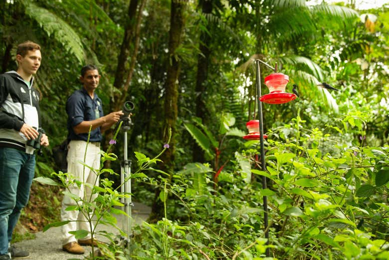 O ingresso também inclui acesso ao jardim de borboletas