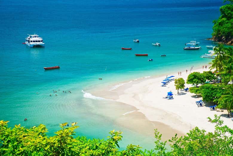 Vista de pájaro de la playa en Isla Tortuga