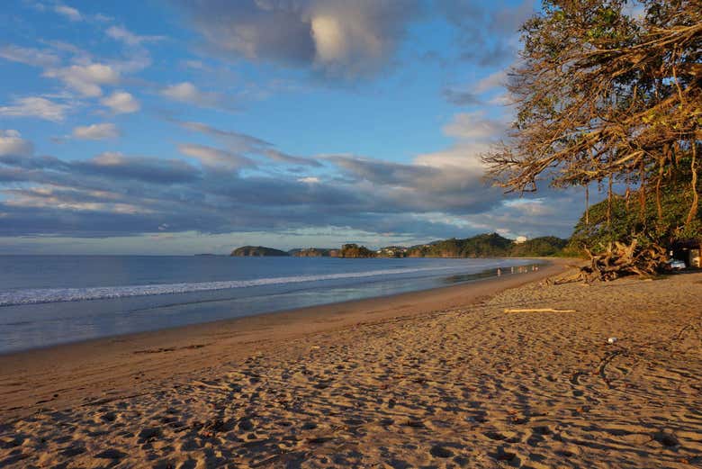Tamarindo Beach