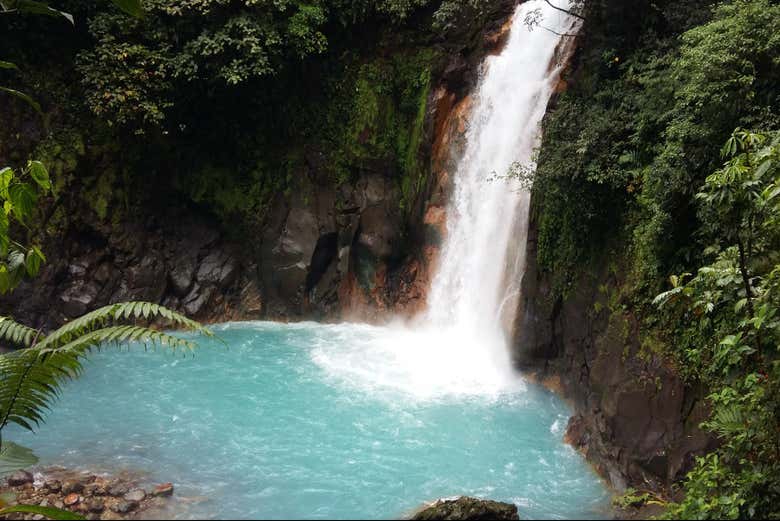 Catarata La Paz