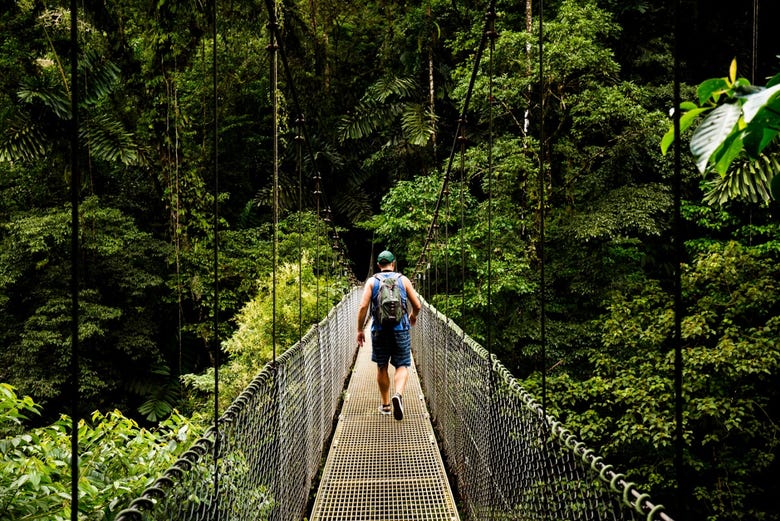 Hanging bridge through the rainforest