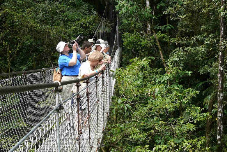 Disfrutando de las vistas desde uno de los puentes colgantes