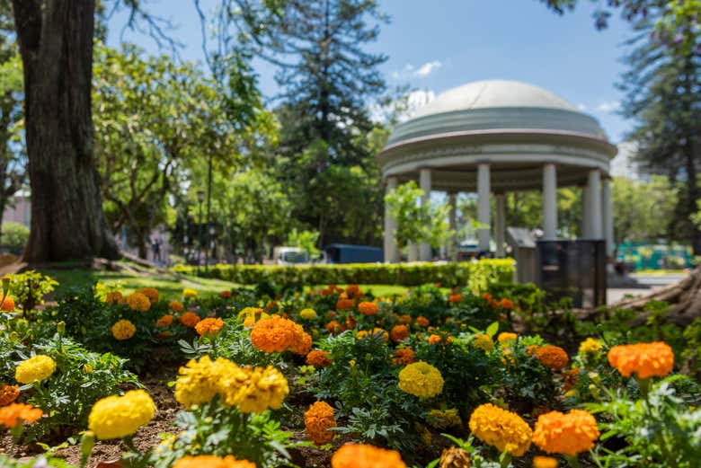 Un parque en el centro de San José
