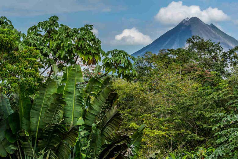 Volcán Arenal desde el bosque