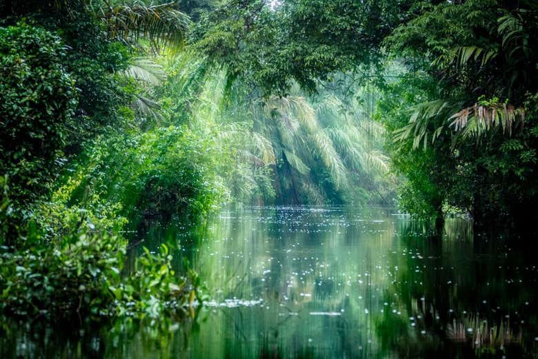 Vista del Parque Tortuguero de San José