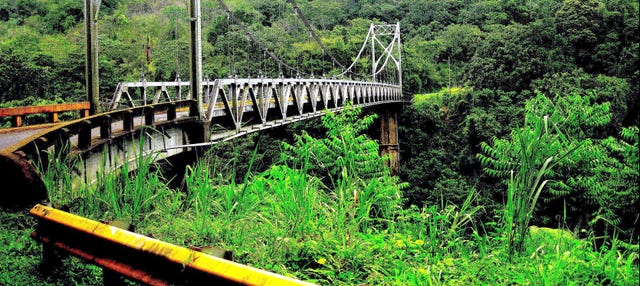 Excursión a los puentes colgantes de Arenal + Aguas termales