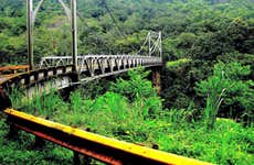 Excursión a los puentes colgantes de Arenal + Aguas termales