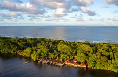 Tour de 2 o 3 días por el Parque Nacional Tortuguero