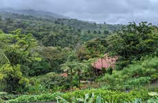 Rainforest Adventure in Braulio Carrillo National Park