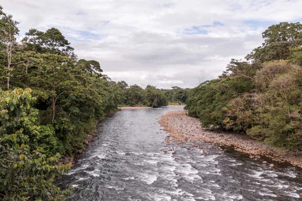 Tour di avventura a Sarapiquí