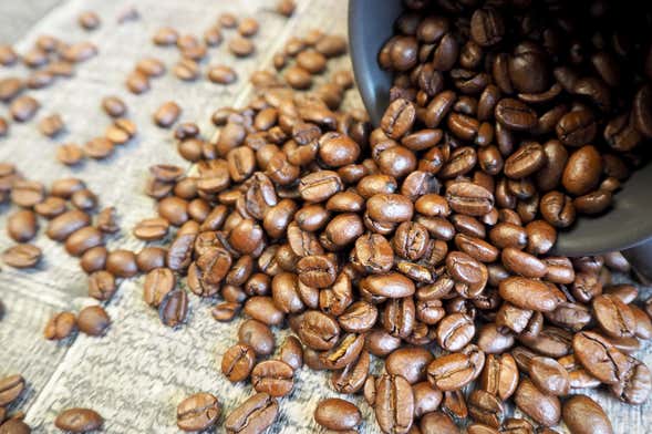 Buy costa rica 2025 coffee online